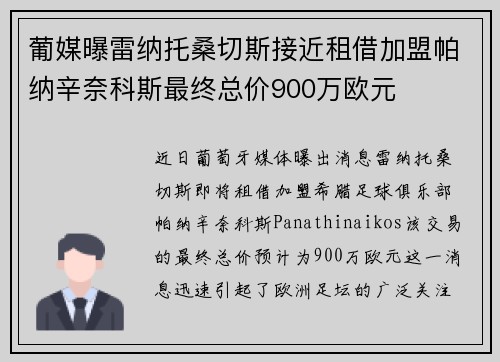 葡媒曝雷纳托桑切斯接近租借加盟帕纳辛奈科斯最终总价900万欧元